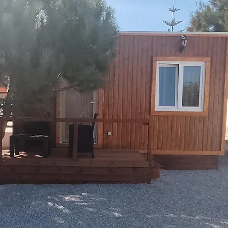 Catshouse