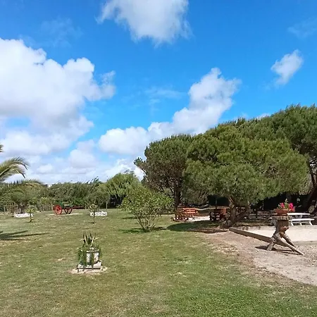 Catshouse Camping Carqueja
